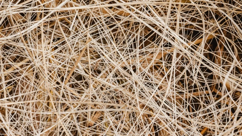 Приметы обо всем на 13 октября 2023 года: что можно и нельзя делать в этот день