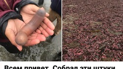 «Раздать незамужним»: сахалинцы обсуждают применение penis fish