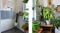 Жители Охи украсили свой подъезд зеркалом и цветами ради победы в конкурсе