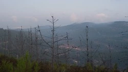 Циклон надвигается: с дождей и ветра начнется следующая рабочая неделя в Сахалинской области