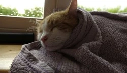 Отопление отключат в семи домах Южно-Сахалинска 18 января