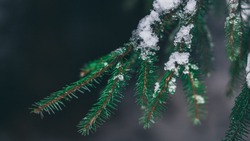 Прогноз погоды на Сахалине и Курилах 9 января: снег на юге и морозы на севере