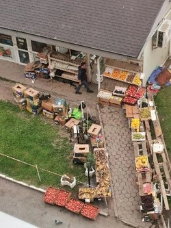 Торговцы фруктами возмутили горожан порчей газона