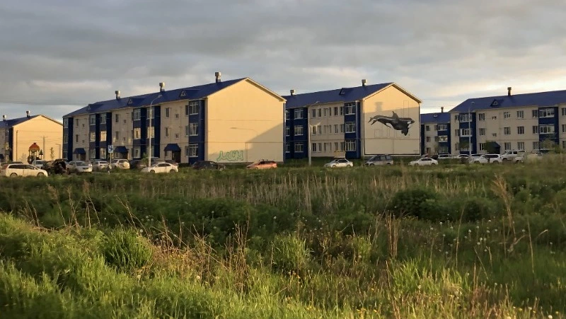 Жительницу Сахалина приговорили к сроку в колонии за сбор «закладок» в Дальнем