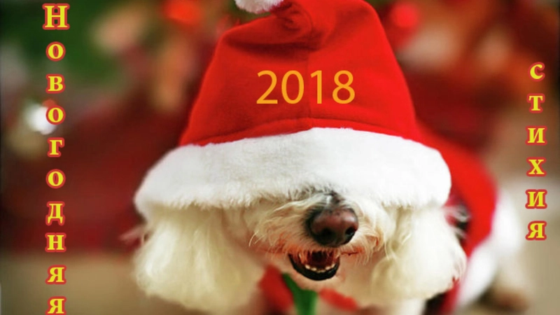 Новогодняя СТИХия: Ереванский театр кукол им. Туманяна