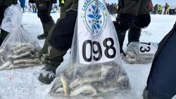 «Сахалинский лед», Boeing-гигант и отрыв льдины: новости выходных на Сахалине