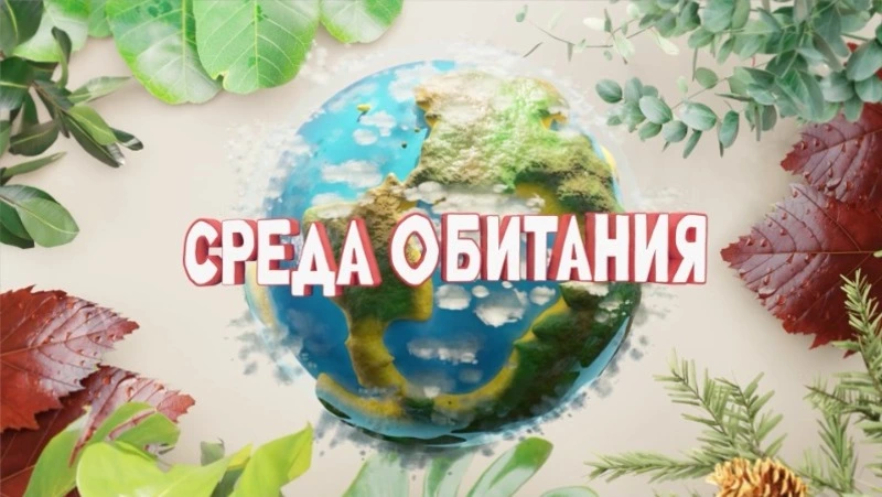 Среда обитания