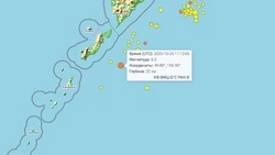 Землетрясение магнитудой 6,3 произошло у берегов Северных Курил и Камчатки