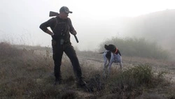 Названа дата начала сезона охоты на пушных зверей на Сахалине