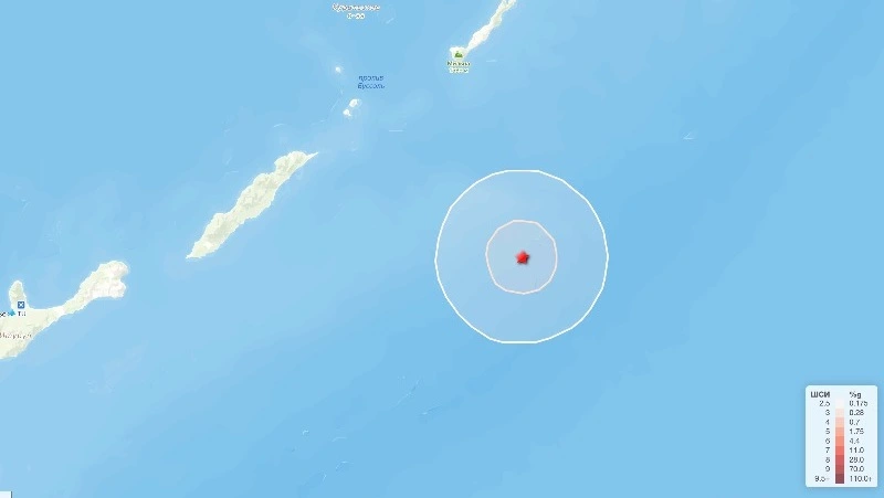 Землетрясение магнитудой 3,8 зафиксировали у берегов Курил в Тихом океане