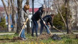 Администрация пригласила на весенние дни чистоты жителей Южно-Сахалинска