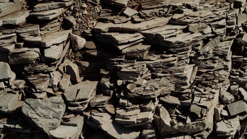 Землетрясение магнитудой 4,6 произошло в Сахалинской области