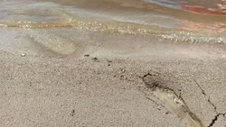 Быстрее, она тонет: на озере Русском спасатель вытащил из воды девушку