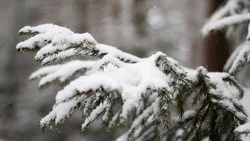 Снег, ветер и морозы до –18 градусов прогнозируют на Сахалине и Курилах 20 января