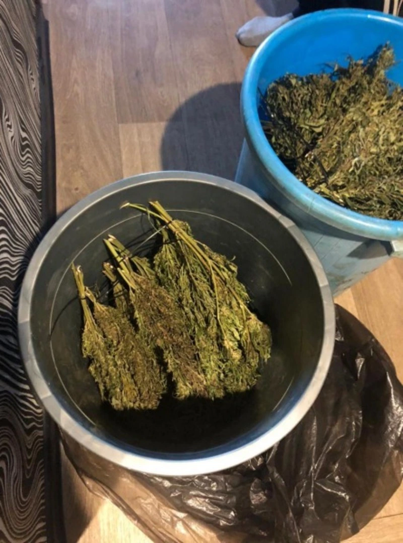 Более килограмма конопли изъяли у жителя Холмска