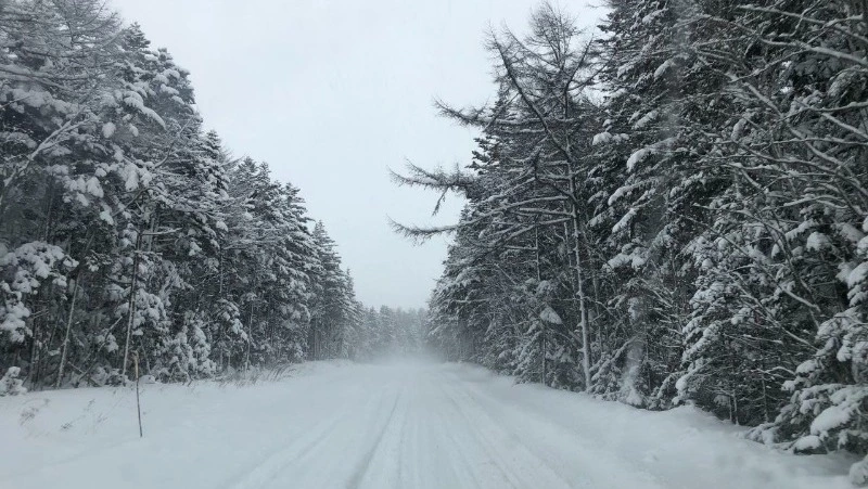 Метель остановила движение автобусов на трассе Южно-Сахалинск — Оха