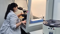 Первые переносы эмбрионов при ЭКО произвели на Сахалине 