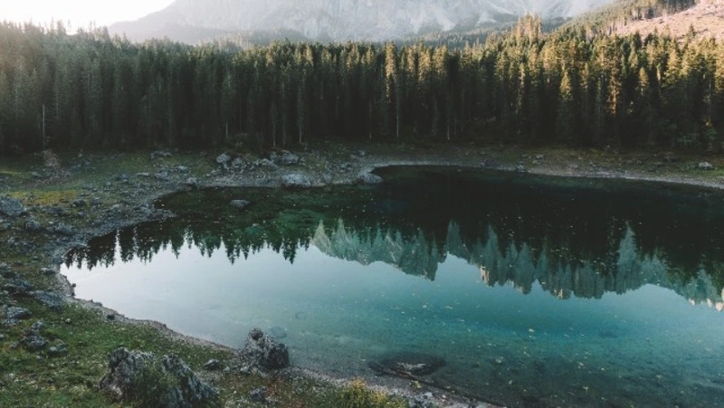 Тело 38-летнего мужчины нашли в озере Долинского района