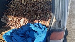 «Хотел куш сорвать»: подробности с места задержания автомобиля с крабами на Сахалине
