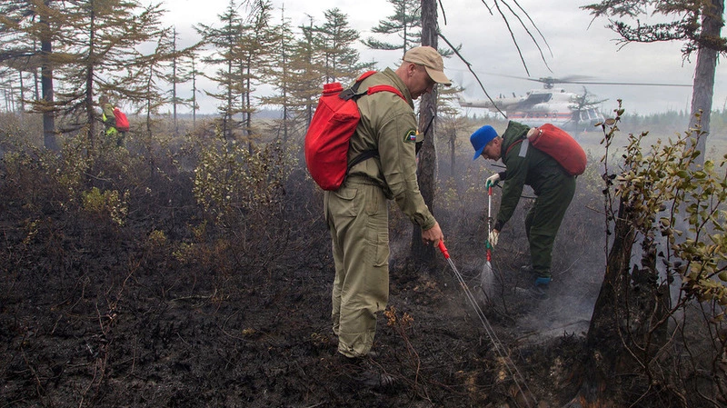 Высокая пожароопасность сохраняется на севере Сахалина