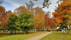 В Южно-Сахалинске 31 октября ожидается прохладная и солнечная погода