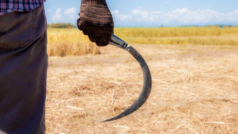 Церковный праздник 21 февраля 2025: что нельзя делать в этот день, приметы