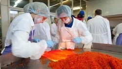 Эксперты «Роскачества» дали рекомендации по выбору красной икры