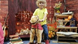 На новое ушко маленькому сахалинцу Роме не хватает всего 200 тыс. рублей