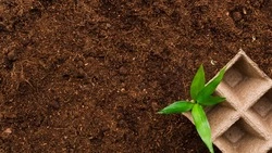 Сахалин экспортировал торф в Корею впервые за три года