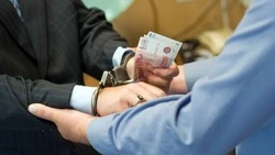 Бывшего сотрудника ФСИН на Сахалине осудили на 8 лет за взятки на 650 тысяч рублей