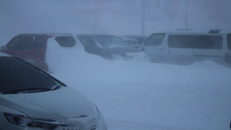 Синоптики предупредили о сильном снегопаде и обрывах ЛЭП в Ногликском районе