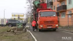 По вине местной мэрии жители Охи не знают, как выглядят евроконтейнеры для сбора мусора