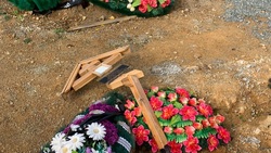 Два десятка могил разгромили на кладбище столицы Сахалина