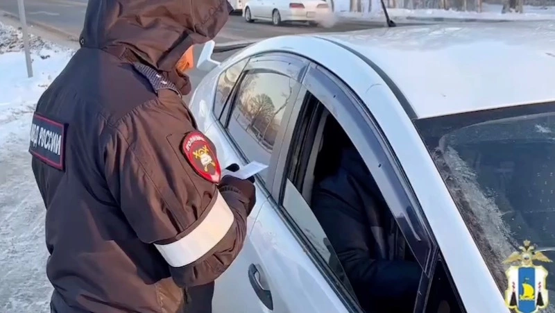 Полиция выявила семь мигрантов-нарушителей на дорогах Южно-Сахалинска