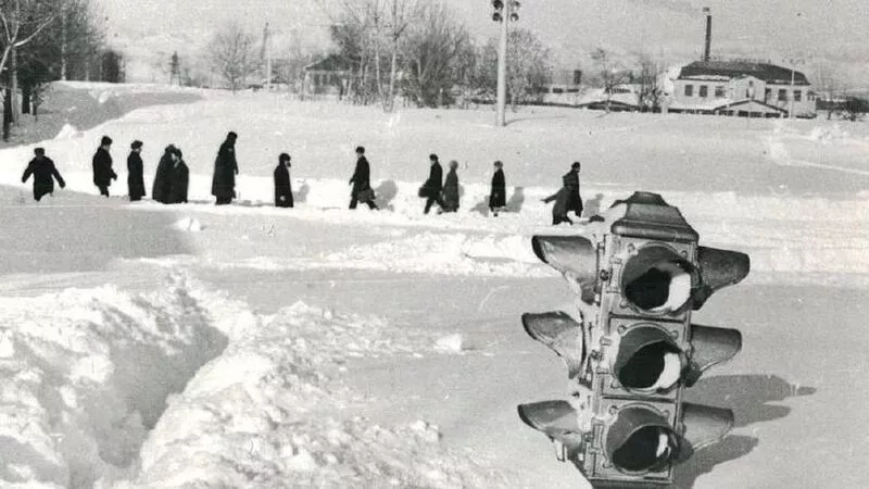 «Для декабря это странно»: об аномально теплой погоде на Сахалине высказался Вишневский