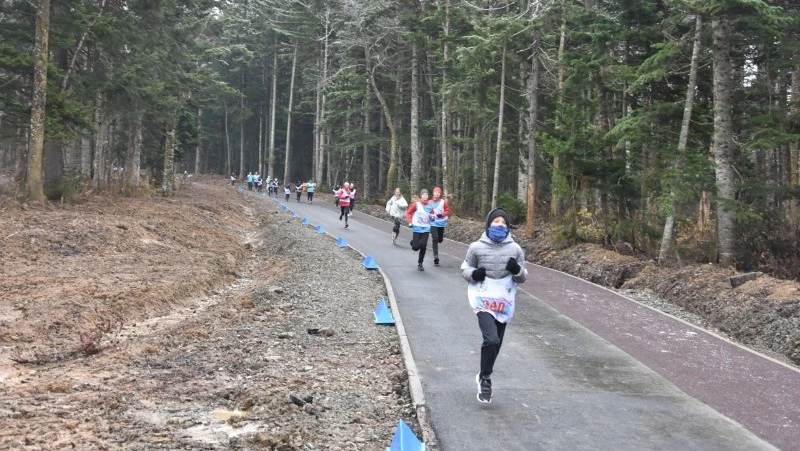 Второй этап благоустройства Янтарного парка подошел к концу в Долинске
