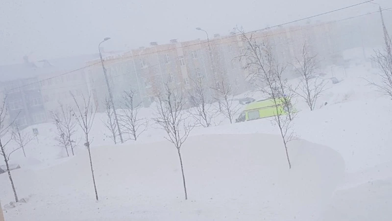 «Какое счастье, что успели!»: медики и спасатели помогли роженице на Сахалине