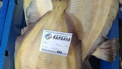 Свежую камбалу предложили жителям Томари и Поронайска по цене от 80 рублей за кг