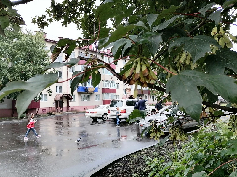 Дизайн-код городской среды внедрят в подъездах Южно-Сахалинска