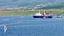 До конца года  с АЭС «Фукусима-1» в Тихий океан сольют почти 55 тысяч тонн отработанных вод реактора