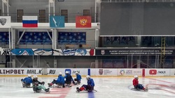 «Сахалинские Львы» и «Львята»: тренер команд рассказал о следж-хоккее в регионе