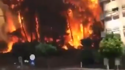 Появилось видео лесных пожаров на популярном у сахалинцев курорте Турции