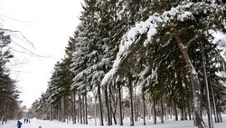 Холодно и пасмурно будет в Южно-Сахалинске 12 февраля 