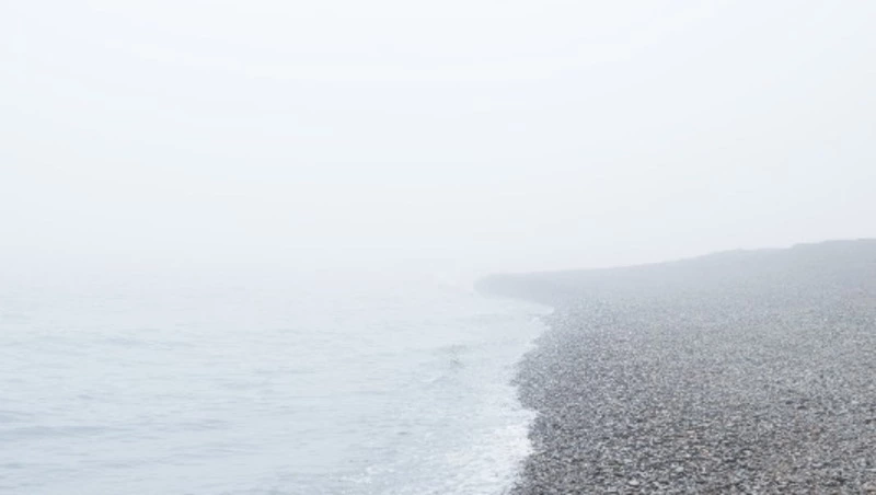 Затопленные улицы и тонны моллюсков на берегу: новости выходных в Сахалинской области