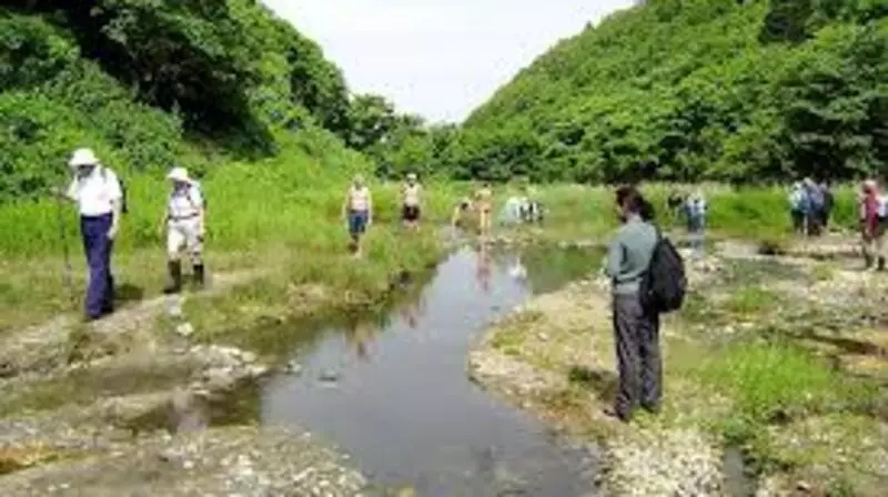 Губернатор Сахалина поручил обустроить Дагинские термальные источники