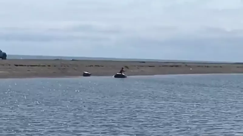 Сахалинцы жалуются на «сеточников», которые перекрывают устье реки Таранай