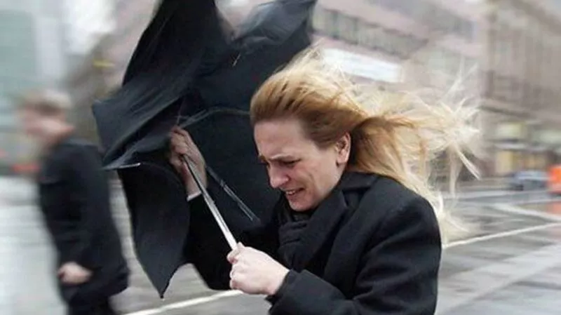 Прогноз на выходные: дожди, ветер и холод