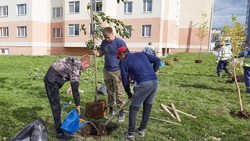 Южно-Сахалинск поддержал общероссийскую акцию «Сохраним лес»