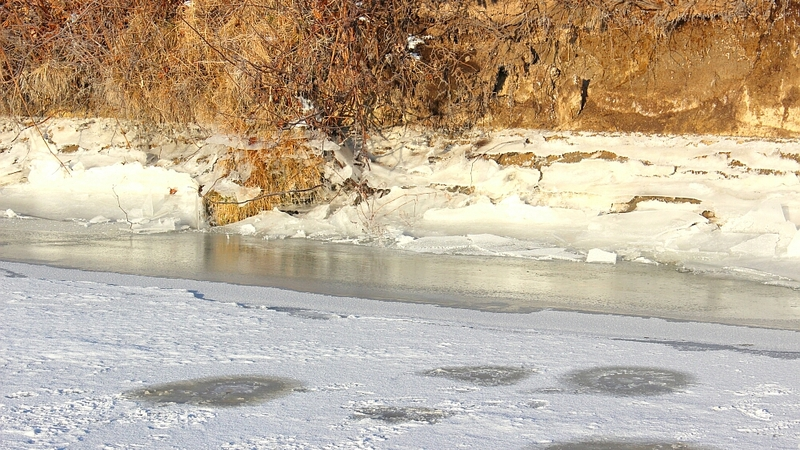 В Южно-Сахалинске в реке нашли труп мужчины