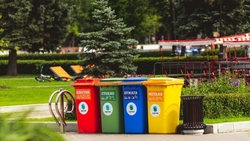 Решение проблемы раздельного сбора мусора на Сахалине нашли на форуме «ProДФО»